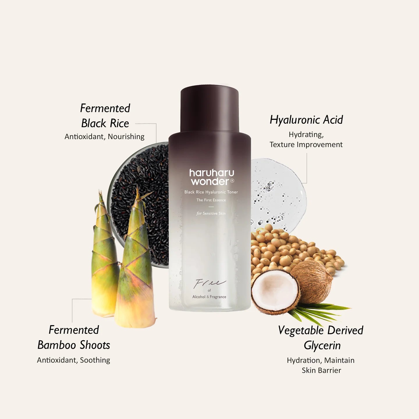 Black Rice Hyaluronic Toner Fragrance Free