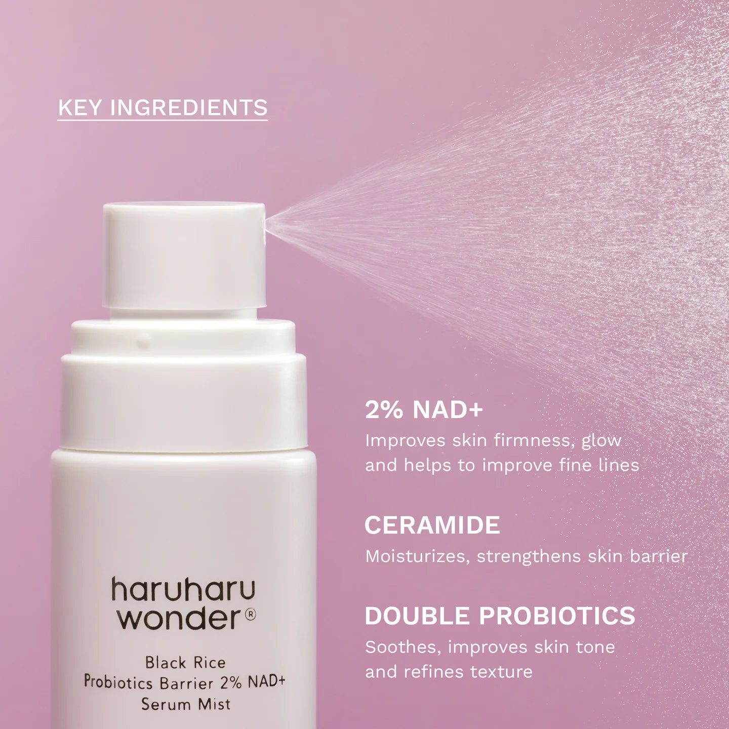 Black Rice Probiotics Barrier 2% NAD + Serum Mist