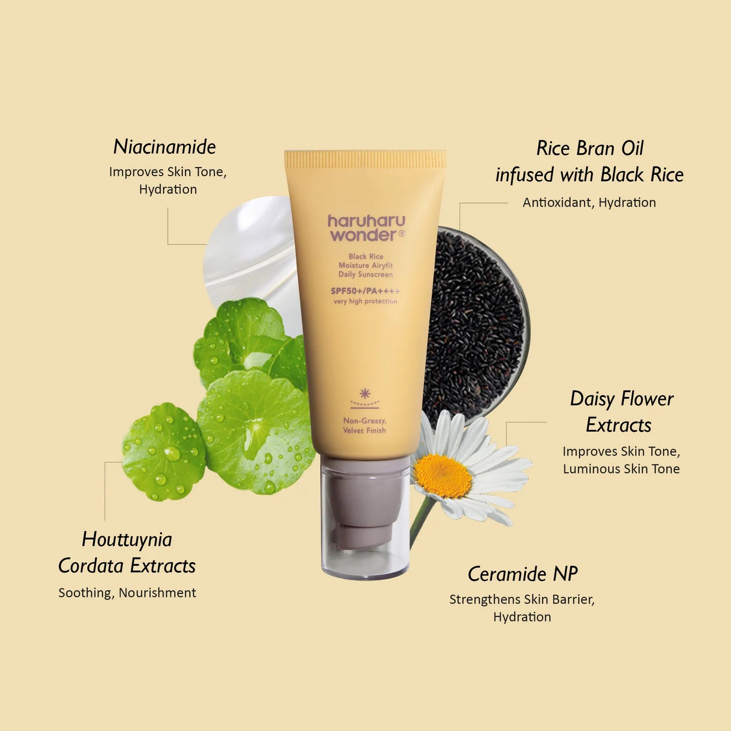 Black Rice Moisture Airyfit Sunscreen